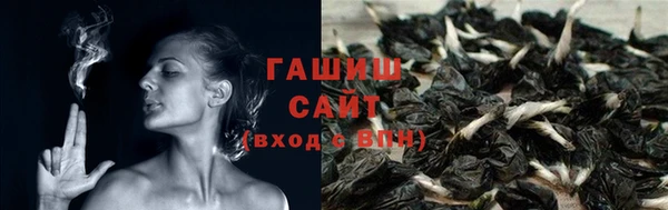 спиды Осинники