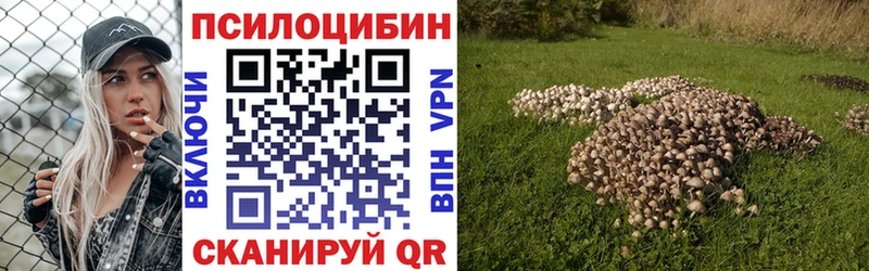 даркнет сайт  Апрелевка  кракен онион  Псилоцибиновые грибы Cubensis 