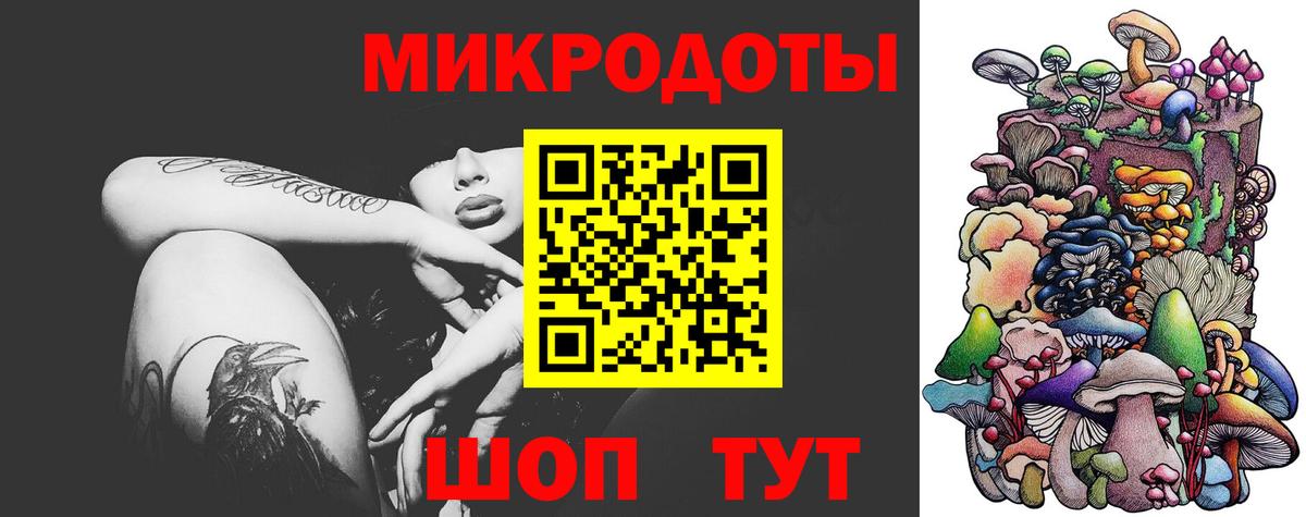 Псилоцибиновые грибы Psilocybe  Апрелевка  Галлюциногенные грибы Psilocybe 