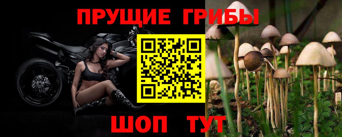 Апрелевка  сколько стоит  Вход с VPN  Псилоцибиновые грибы MAGIC MUSHROOMS 