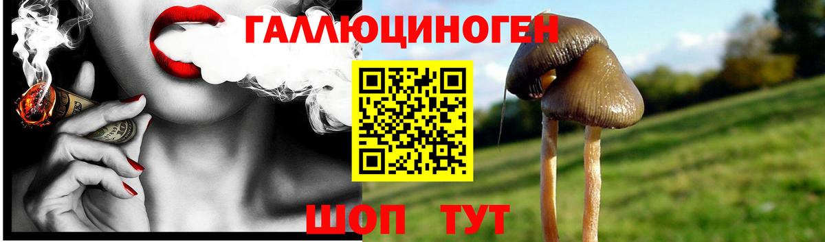 Псилоцибиновые грибы прущие грибы Апрелевка